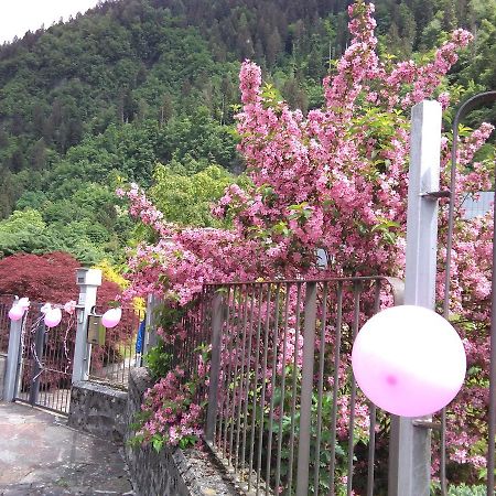 Hotel Casa Per Ferie Paola Di Rosa Arta Terme Exteriér fotografie